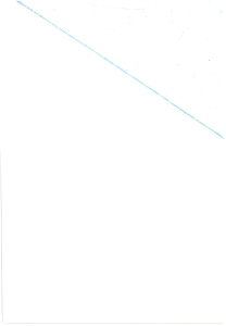 page next