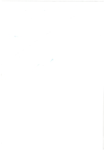 page next