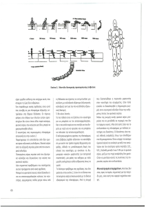 page next