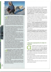 page prev