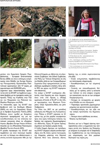 page prev